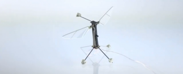 robofly