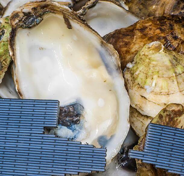 3-d-printing-of-artificial-bone2