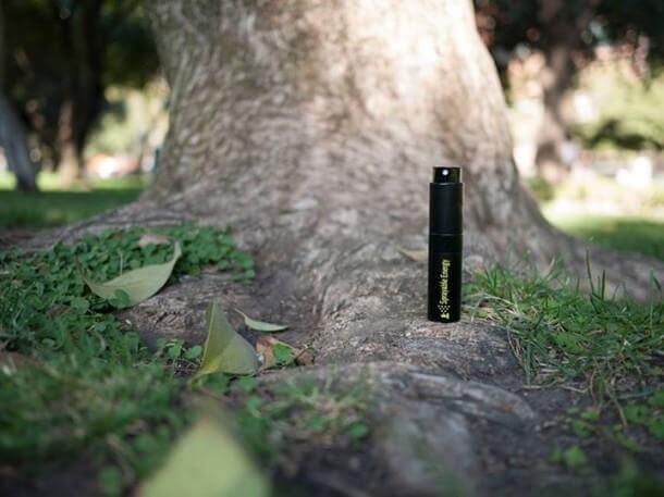 不喜欢用可喷涂的能量4的咖啡通过皮肤吸收咖啡因-4