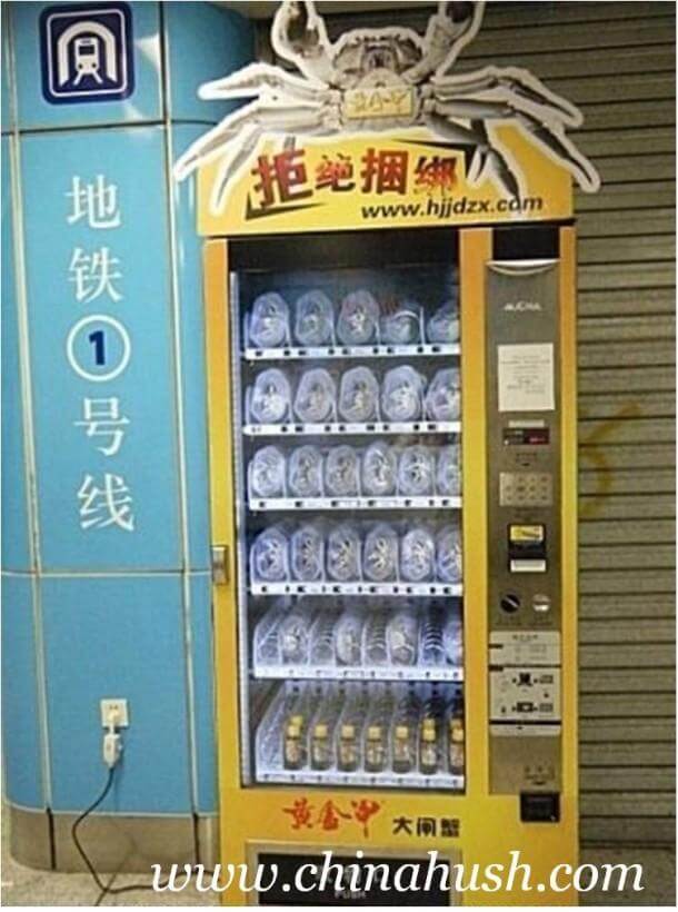 在中国，一种售卖活螃蟹的自动售货机