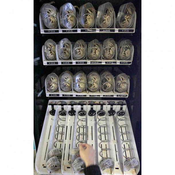 在中国，一种售卖活螃蟹的自动售货机