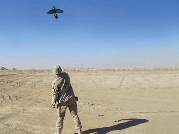 那是一只鸟 - 这就是他们想让您的想法！3