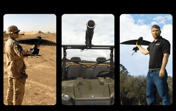 那是一只鸟 - 这就是他们想让您的想法！4