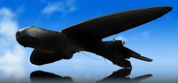 那是一只鸟 - 这就是他们想让您的想法！