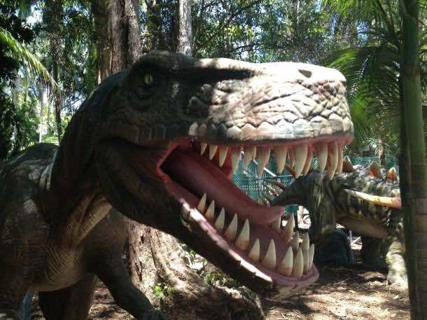 Palmersaurus恐龙公园