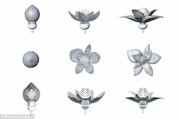 3 d-printed-blooming-flowers (3)