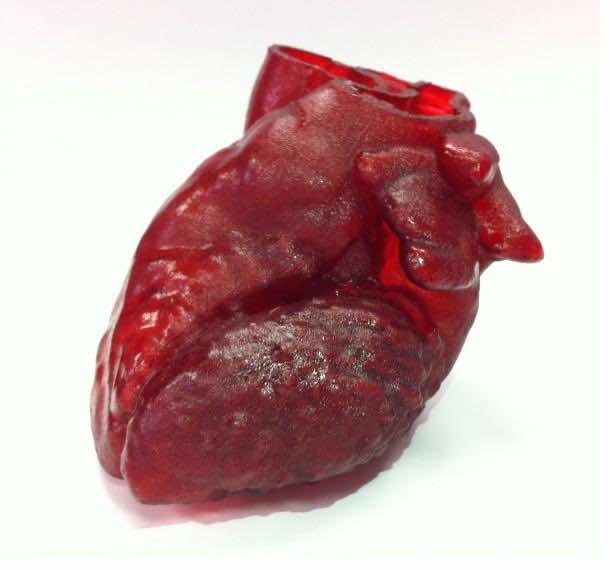 3D-PRINTED_HEART（2）