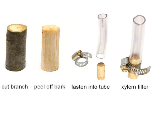 tree_water_filter