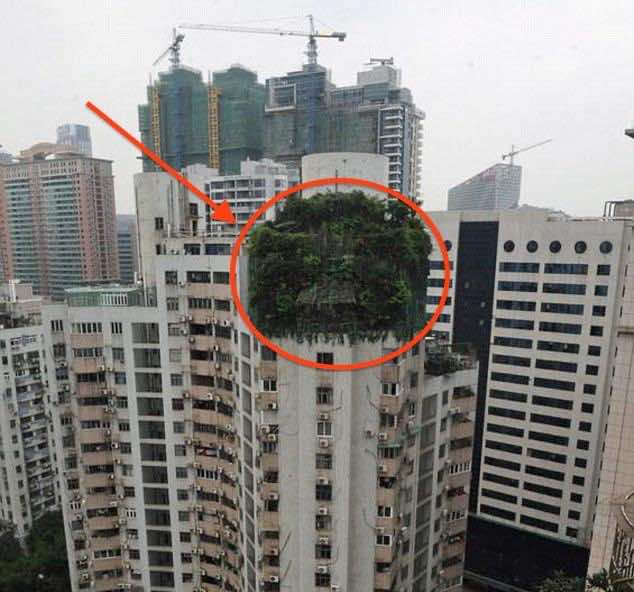 Illegal-Construction-21