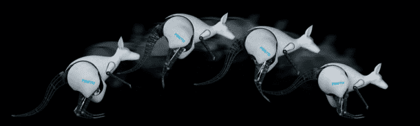 bionickangaroo-feature