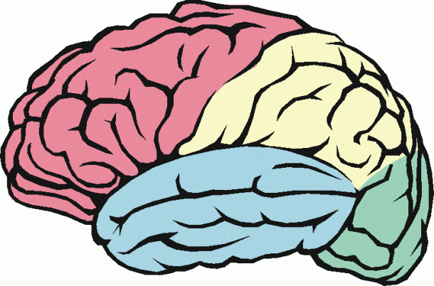 1。学习技巧和一些注意事项