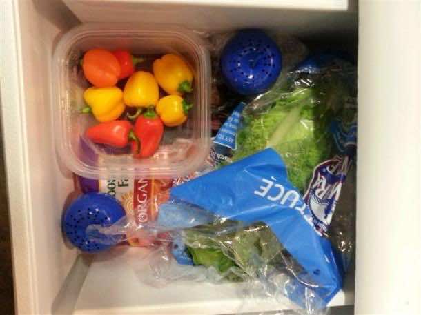 2。乙烯气体吸收器