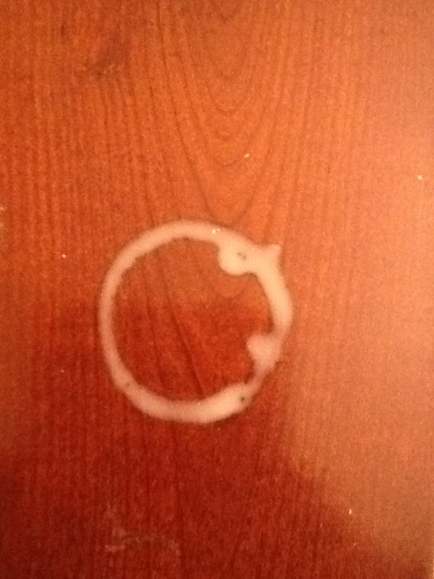 2.木头上的水环