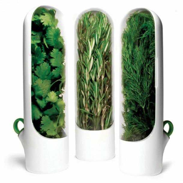 5。新鲜香草任何人