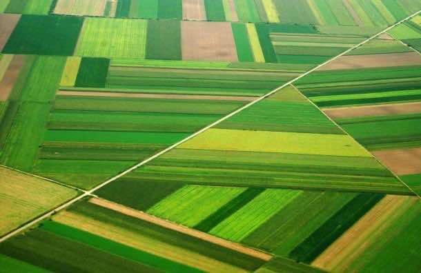 农业工程11是什么