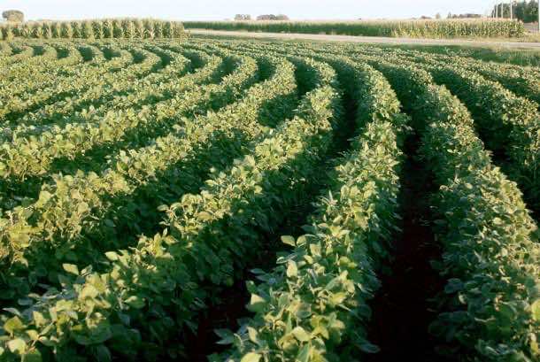 农业工程8是什么