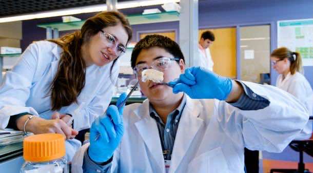 什么是生物医学工程