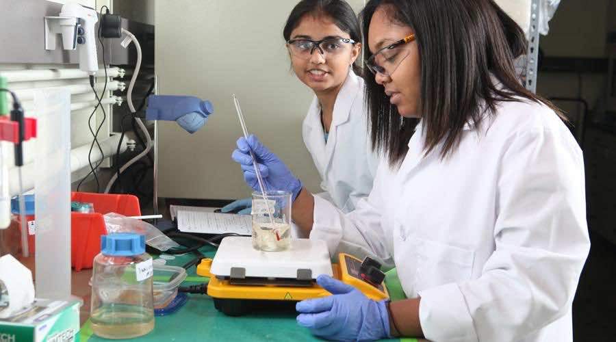 什么是生物医学工程3