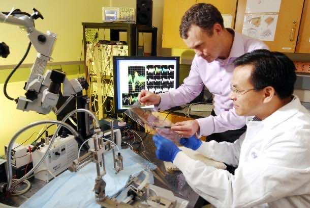 什么是生物医学工程