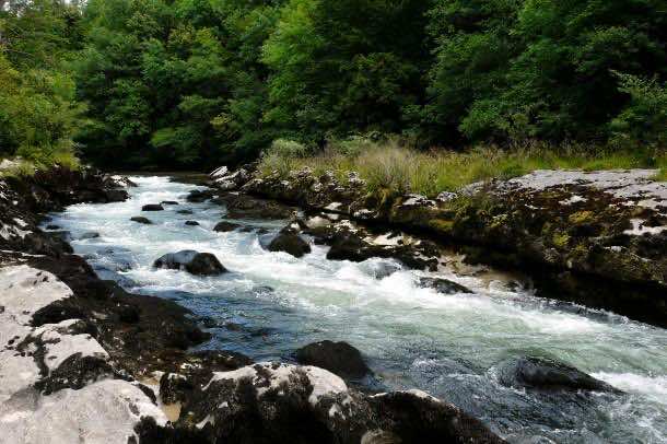 环境工程是什么