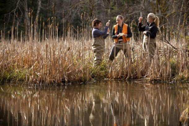 什么是环境Engineering11