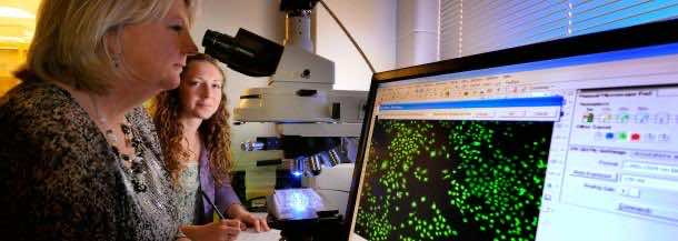 是什么材料Engineering17