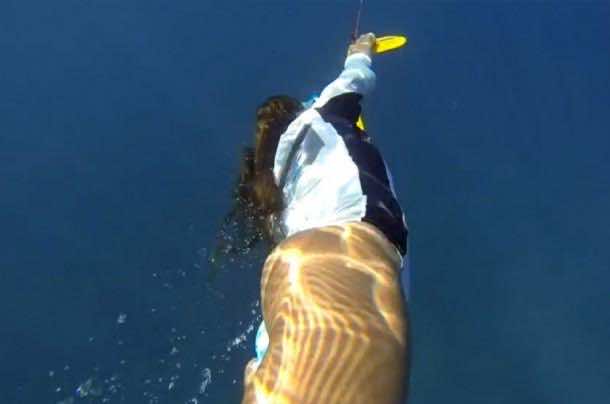 Aquanaut_nautboard（5）