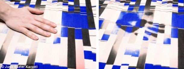 Chameleon_fabric（1）