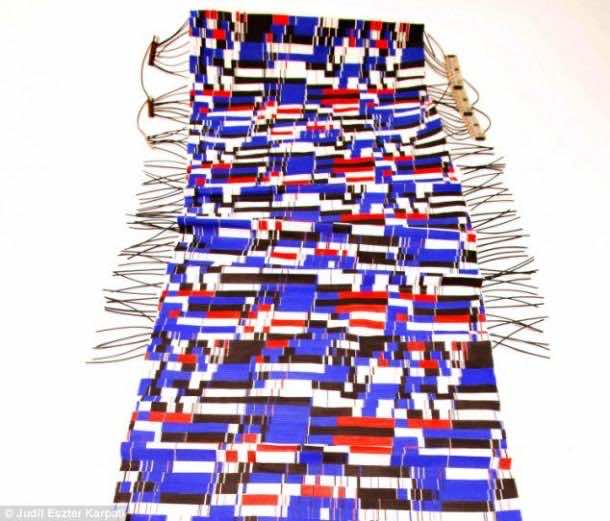 Chameleon_fabric（4）