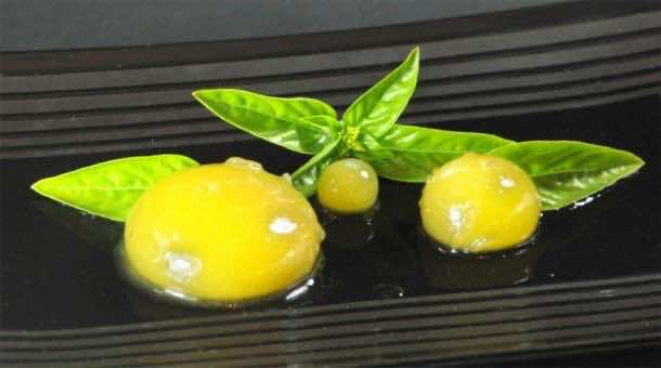 水果 - 狂欢-1024x572