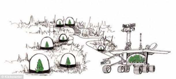 mars_plant_experiment (1)