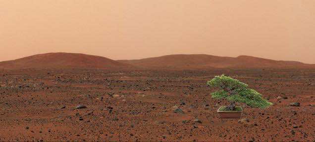 mars_plant_experiment (5)