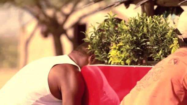 可口可乐生物冷却器2