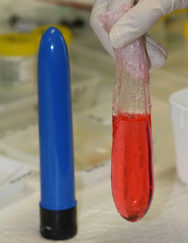 避孕套比尔·盖茨