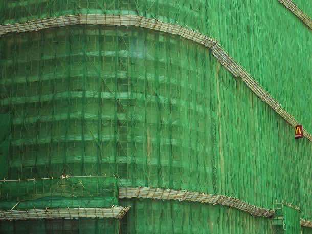 彼得·施泰因豪尔茧