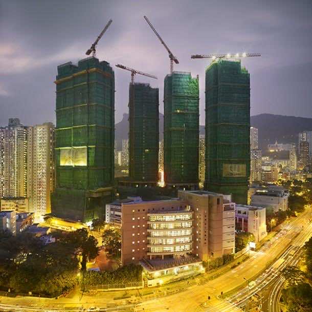 彼得·施泰因豪尔茧