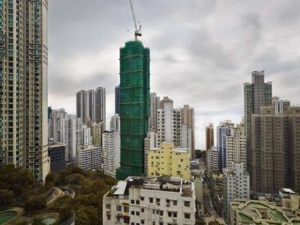 彼得·施泰因豪尔茧