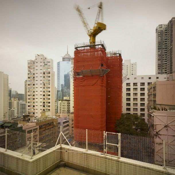 彼得·施泰因豪尔茧