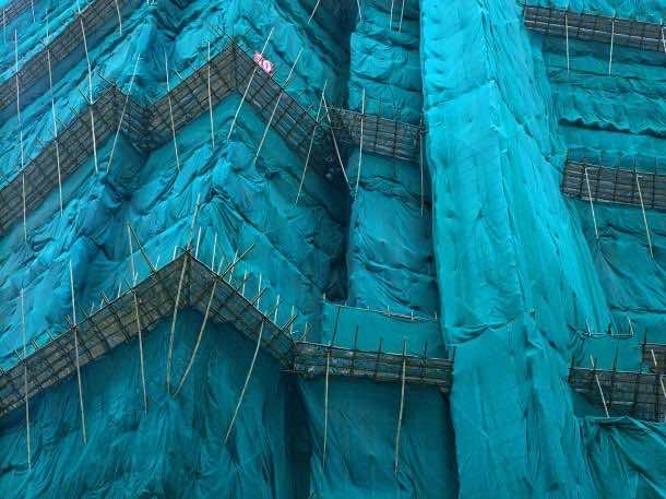 彼得·施泰因豪尔茧