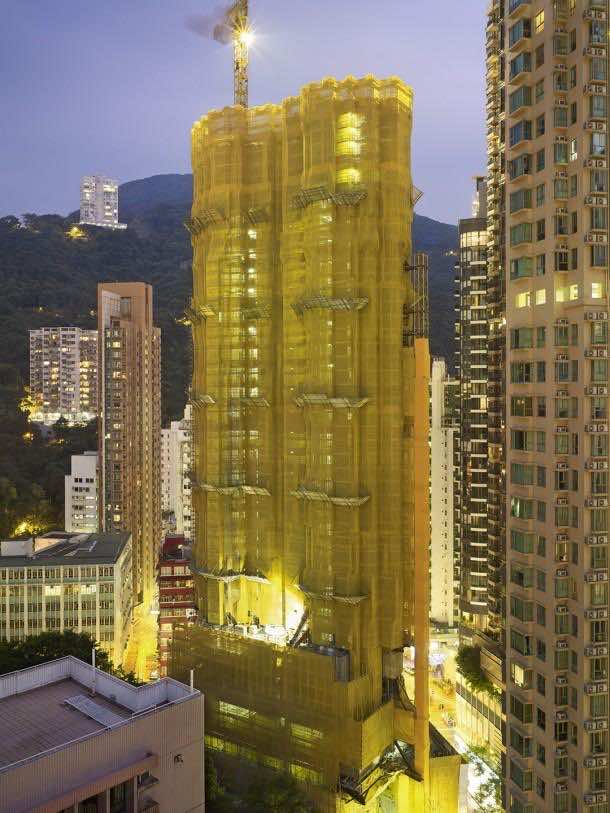 彼得·施泰因豪尔茧