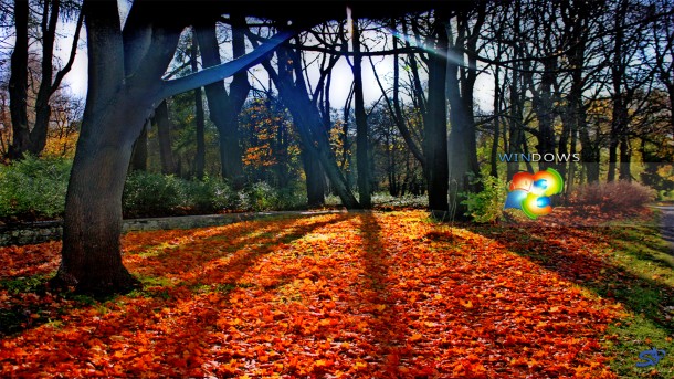 Windows 7壁纸24