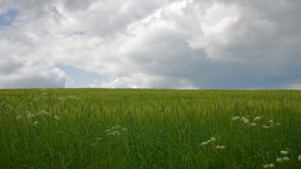 高清景观照片（5）