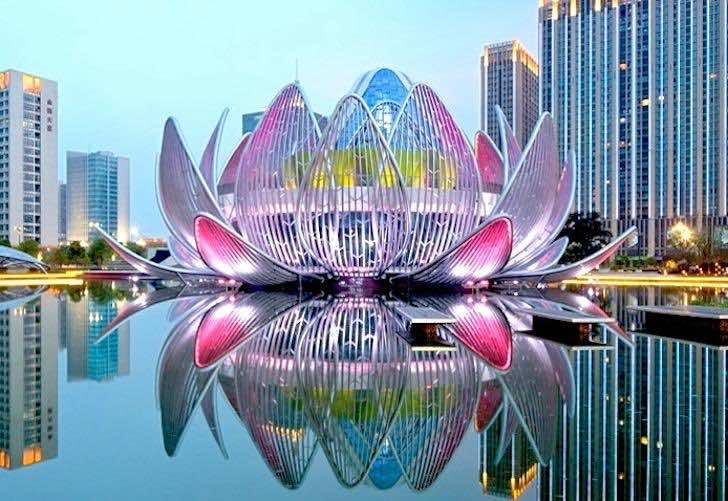 Lotus-Building-1