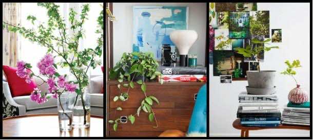 25个简单的改造主意(17)