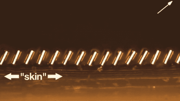 来自MIT2的磁性微毛