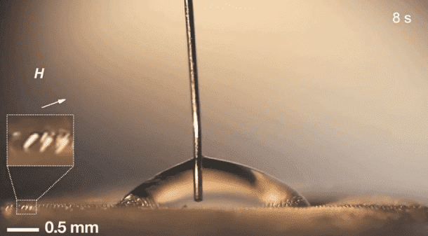 来自MIT3的磁性微毛