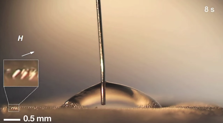 来自MIT3的磁性微毛