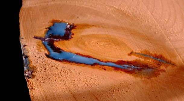 在黑暗中发光的木架子