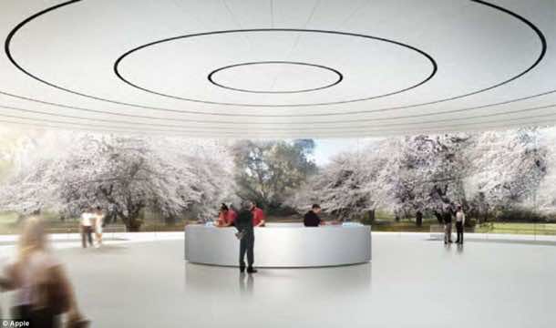 苹果飞船校园14