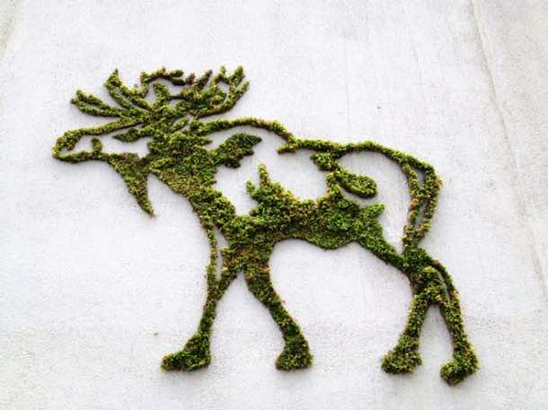 Moss Graffiti  - 如何做IT10